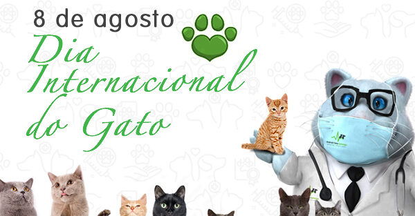 Dia Internacional do Gato – 8 de agosto